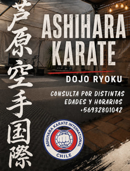 Karate para Adultos en Dojo Ryoku Talca